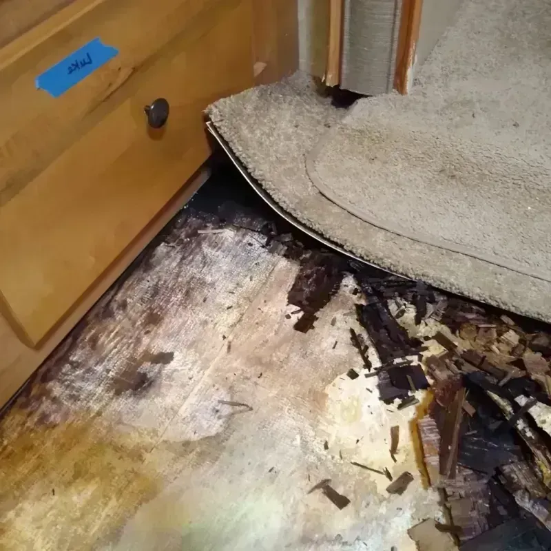 Best Wood Floor Water Damage Service in Clarksburg, WV